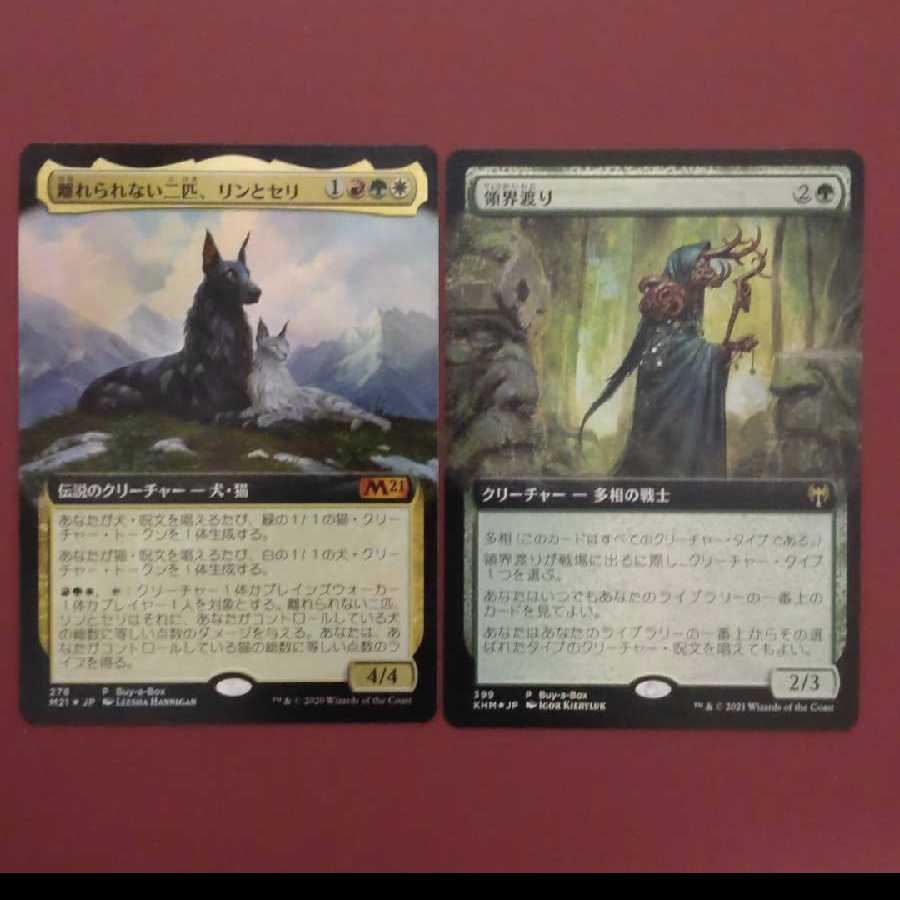 Rin and Seri, Inseparable Realmwalker Summary