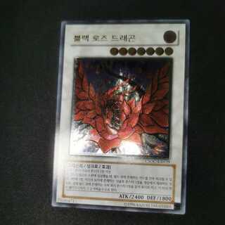 韓国版 ブラック・ローズ・ドラゴン ホログラフィックレア 遊戯王