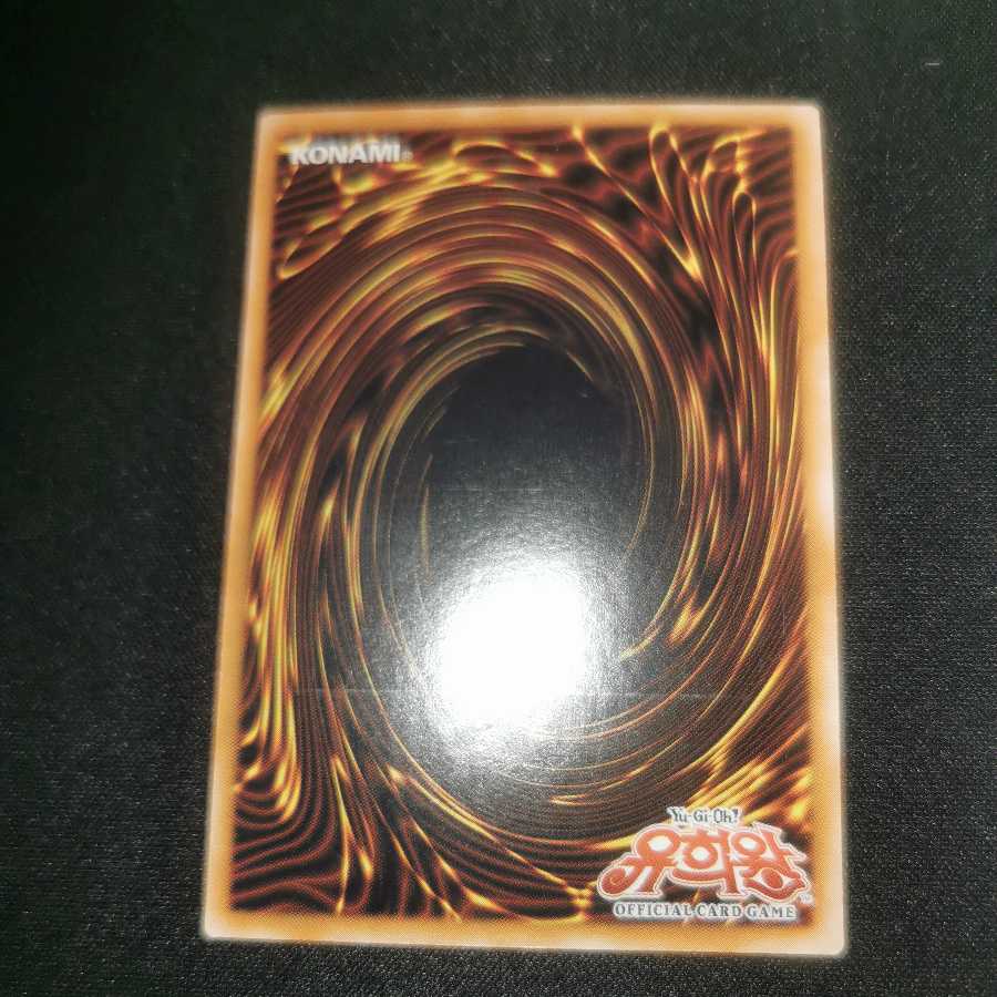 Black Rose Dragon/Korean version/CSOC/Relief/Immediate purchase ok♪