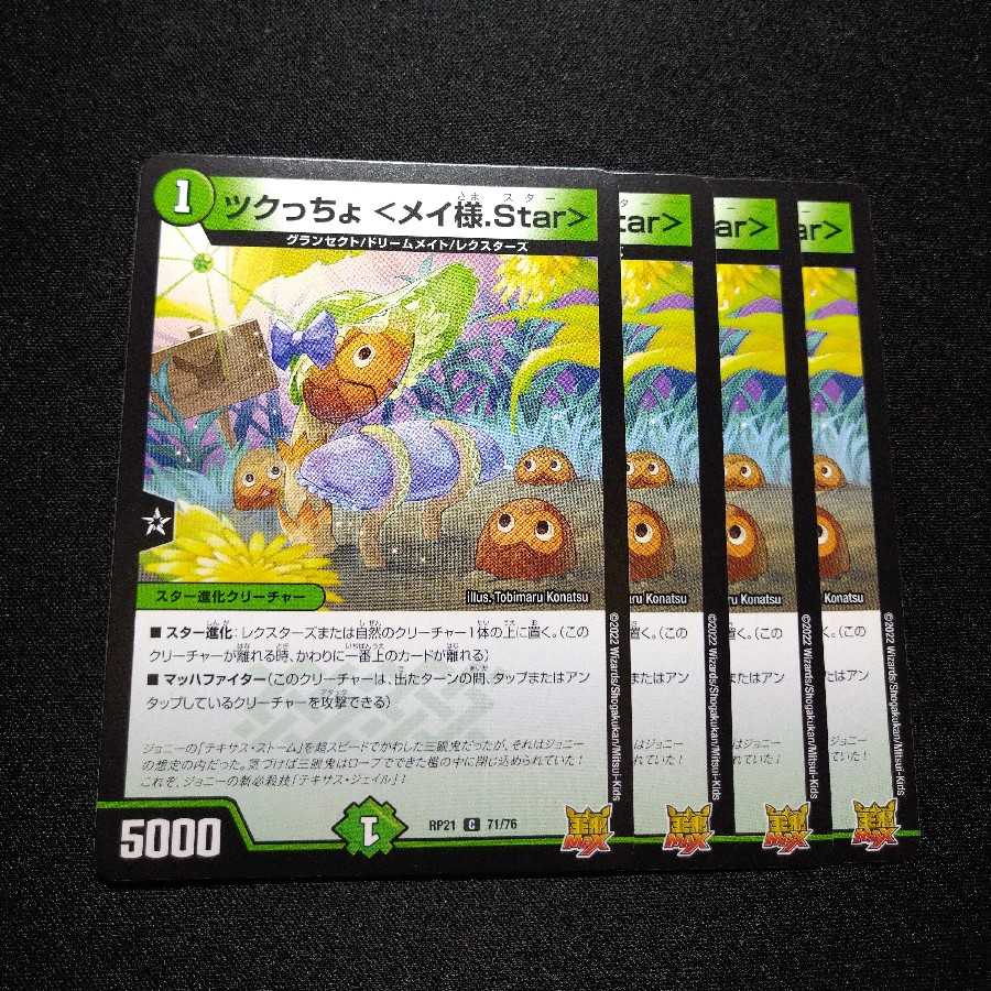 Tsukucho <Rosa-sama.Star>.