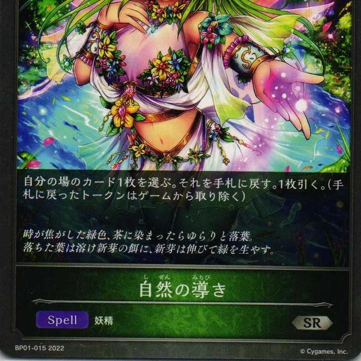 BP01-015 Guidance of nature 3