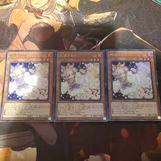 Ash Blossom & Joyous Spring