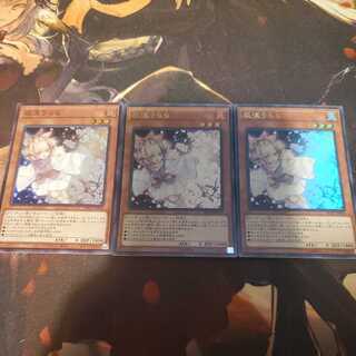 Ash Blossom & Joyous Spring