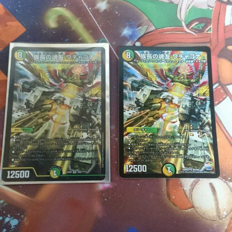 族長の魂友 ワチャゴナ