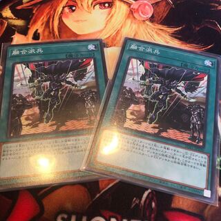 Fusion Deployment Normal Set of 2