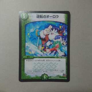 しらたき様専用　　逆転のオーロラ