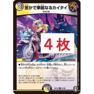 Secret and Splendid Kaitai 4