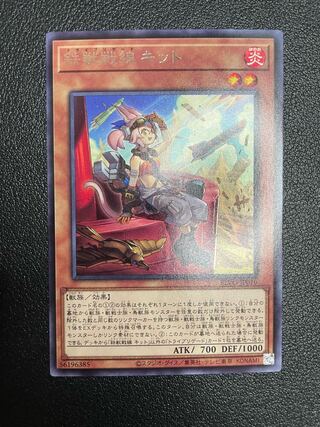 鉄獣戦線 キット レア