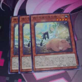 Forest and Awakening Springized Spirit Rare 3 pieces
