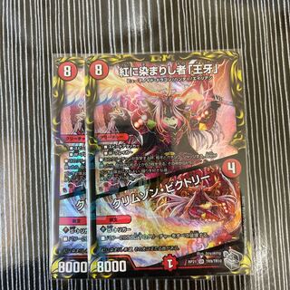 Crimson Victory, silver, 2 pieces