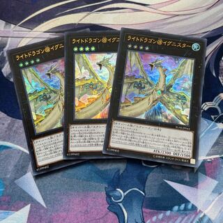 Rinsika様専用ライトドラゴン@イグニスター＆ガーデンローズメイデン