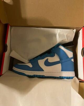 Nike Dunk High Championship Snubbull 27.5cm NIKE DUNK 27.5cm