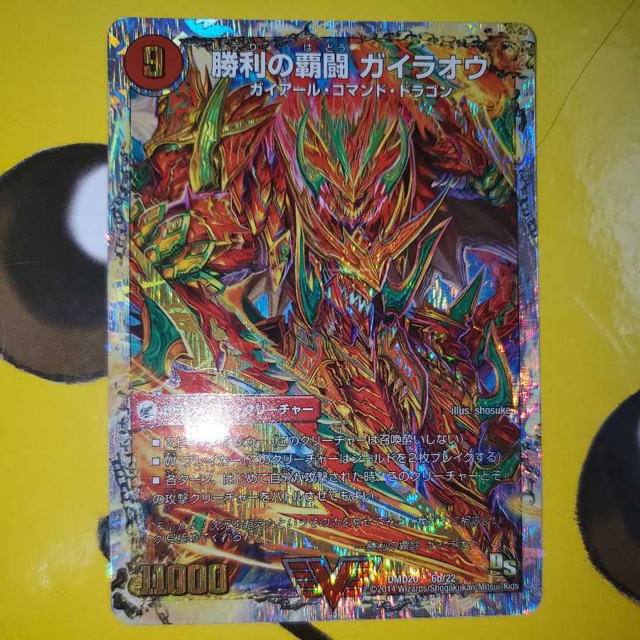 Ha Fighting Shoguryu Sword Gai Ou Burn|Ha Fighting Gai Ou (1)