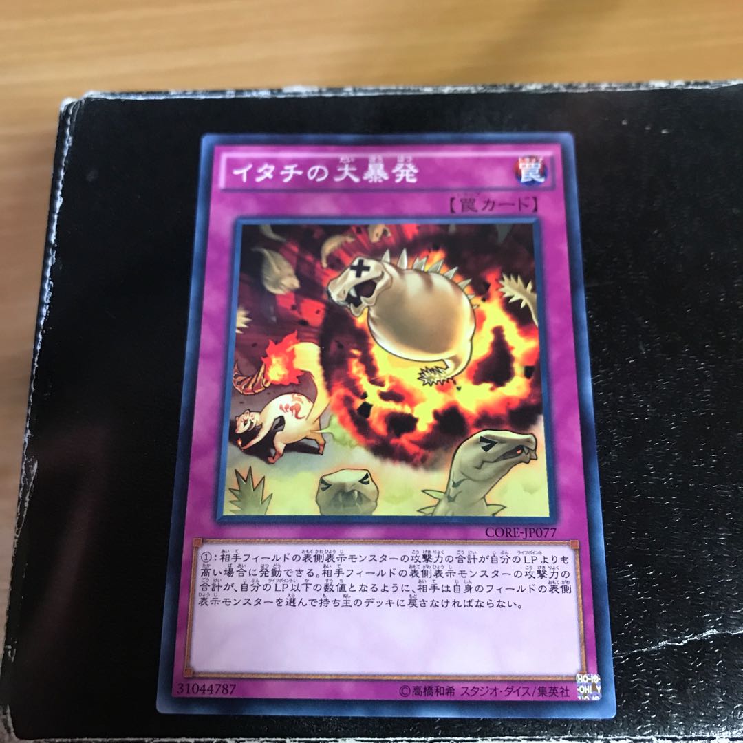 Ferret Flames Normal