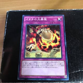 イタチの大暴発 ノーマル