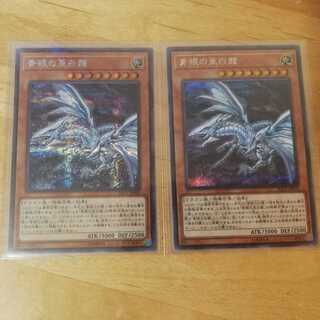 青眼の亜白龍　シークレット