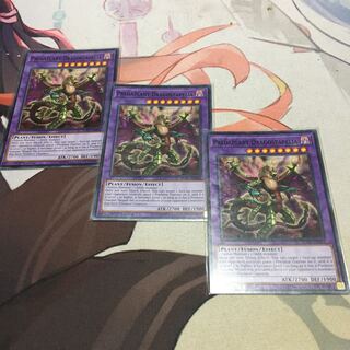 English Predaplant Dragostapelia Normal