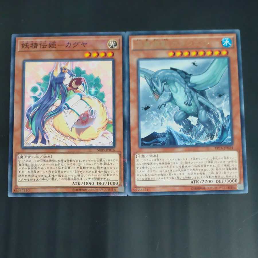 壊獣+カグヤ 【木林堂】