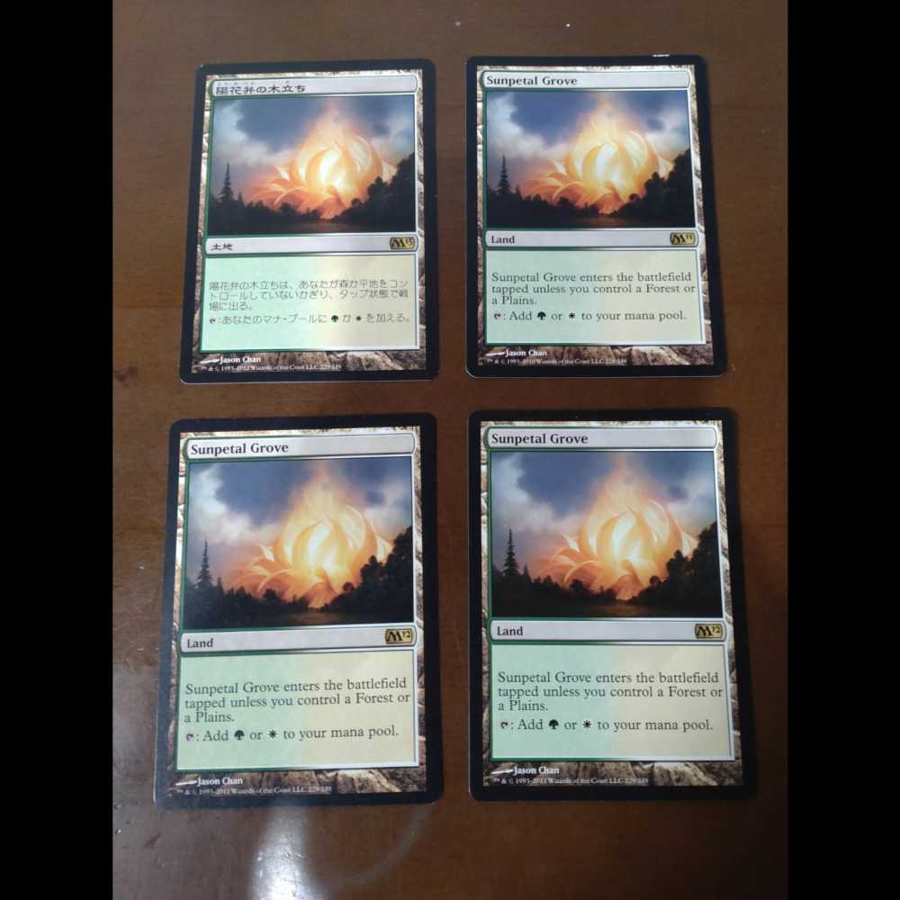 Sunpetal Grove 4-piece set