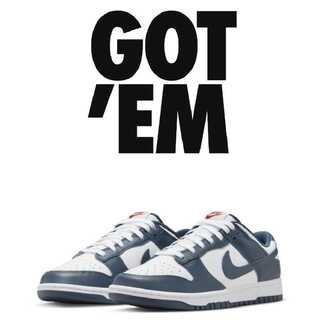 DUNK LOW Valeruan Blue 27cm