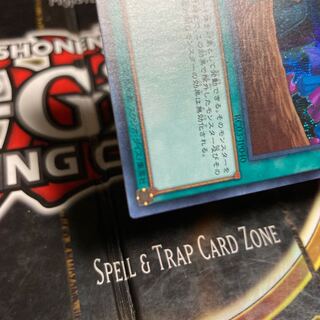 遊戯王 墓穴の指名者 シークレットレア 四星