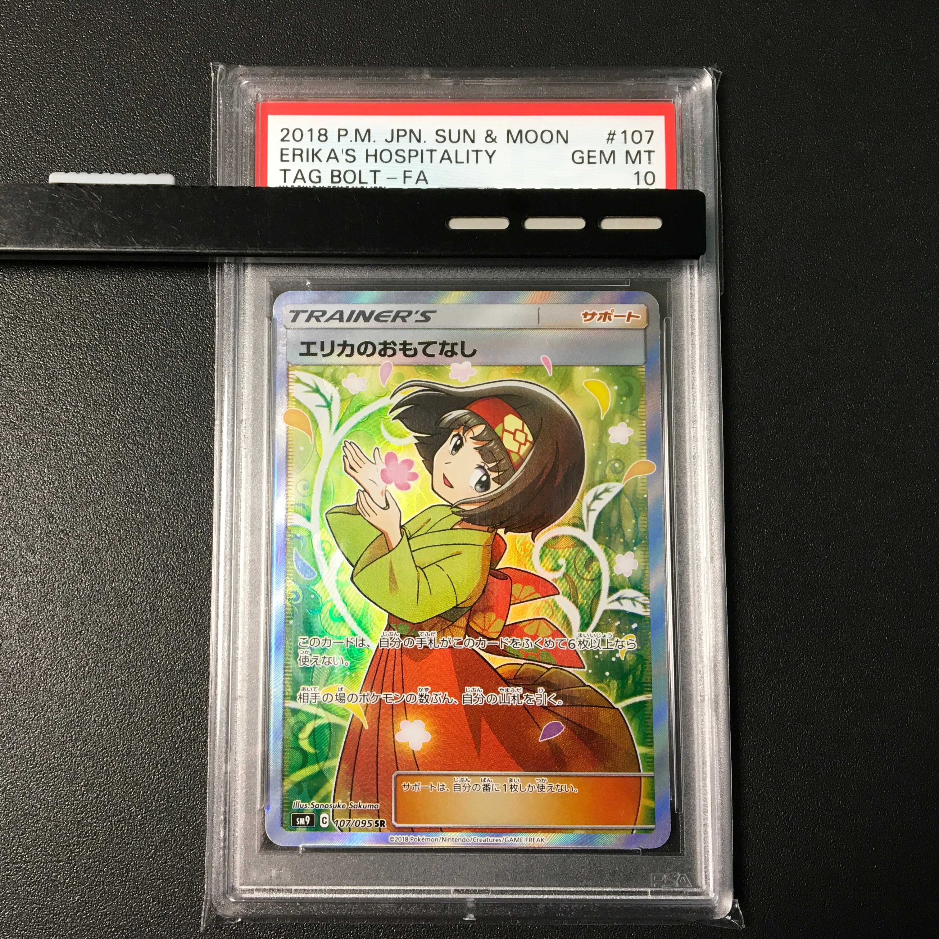 PSA10] Erika's Hospitality SR