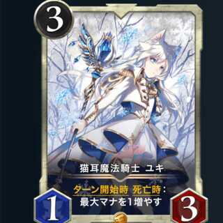 ２枚セット 猫耳魔法騎士ユキ