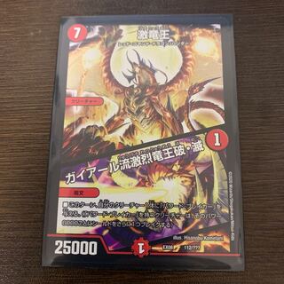 激竜王 ガイアール流激烈竜王破・滅