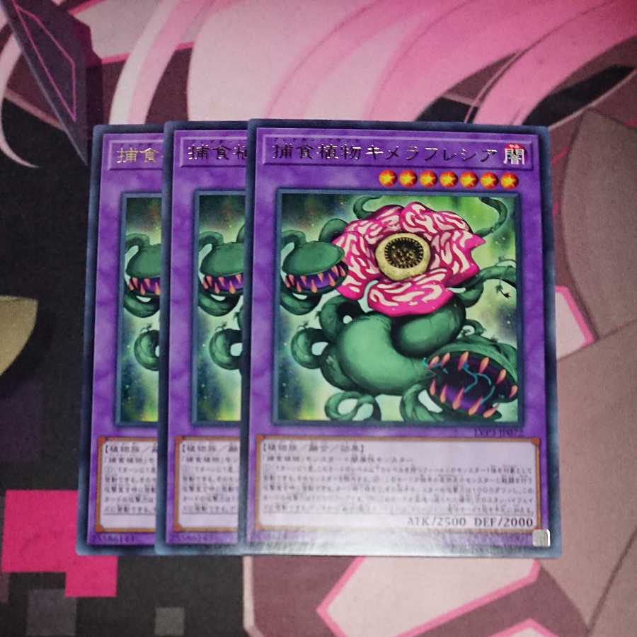 Predaplant Chimerafflesia Rare 3 pieces