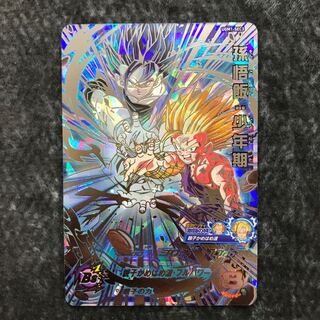 Son Gohan: Boyhood UGM1-SEC3