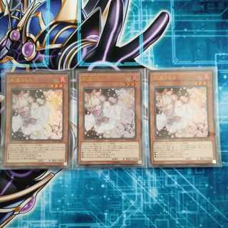 Ash Blossom & Joyous Spring 3 Ultra Rare Lowest Price