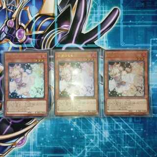 Ash Blossom & Joyous Spring 3-piece set