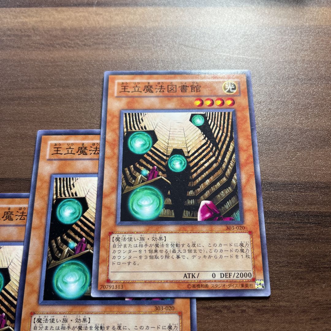 Chimayan Royal Magical Library 301