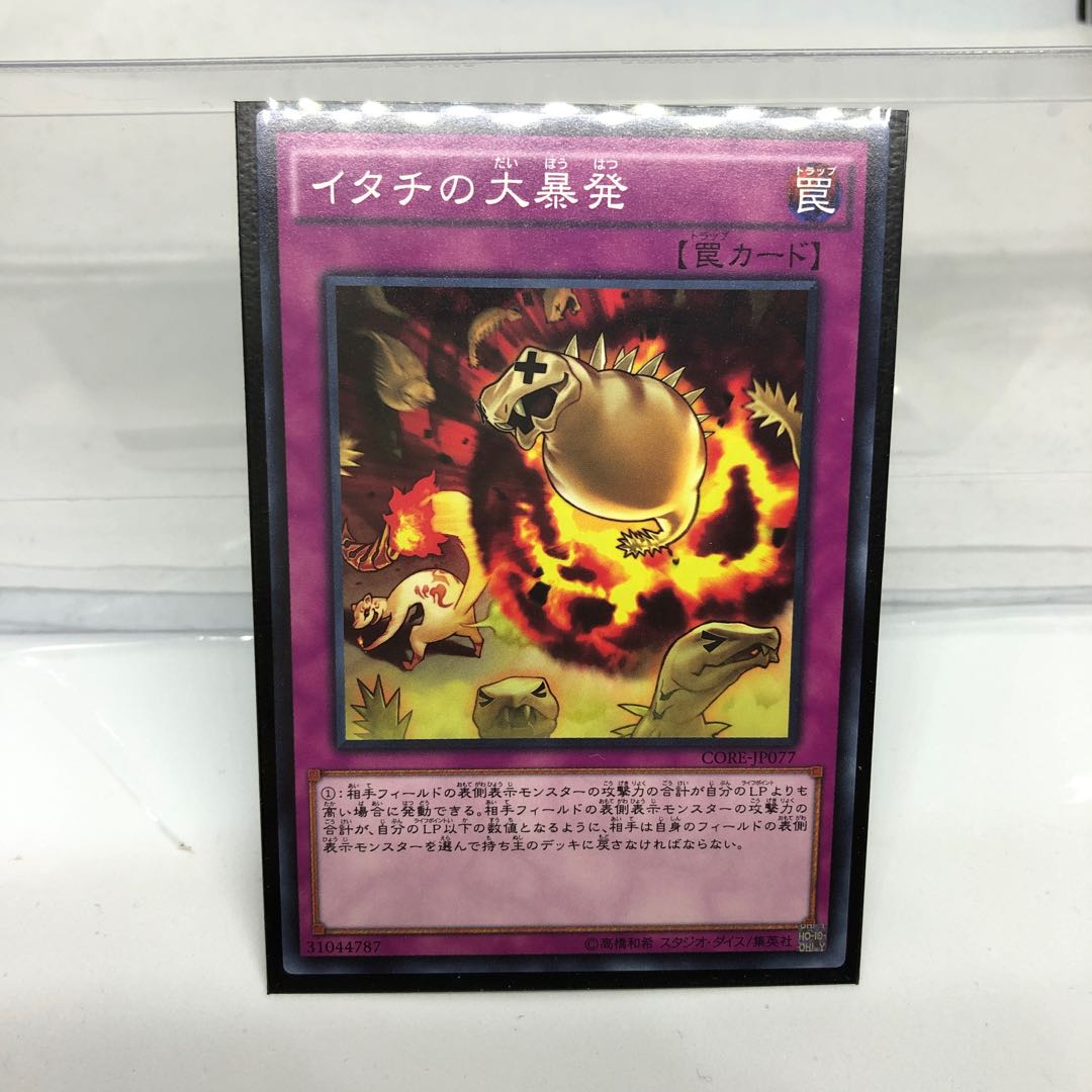 Ferret Flames Normal