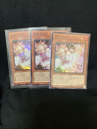 Ash Blossom & Joyous Spring Super 3-Piece Set