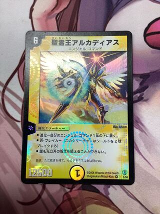 聖霊王アルカディアス VR 1枚　ジャンク