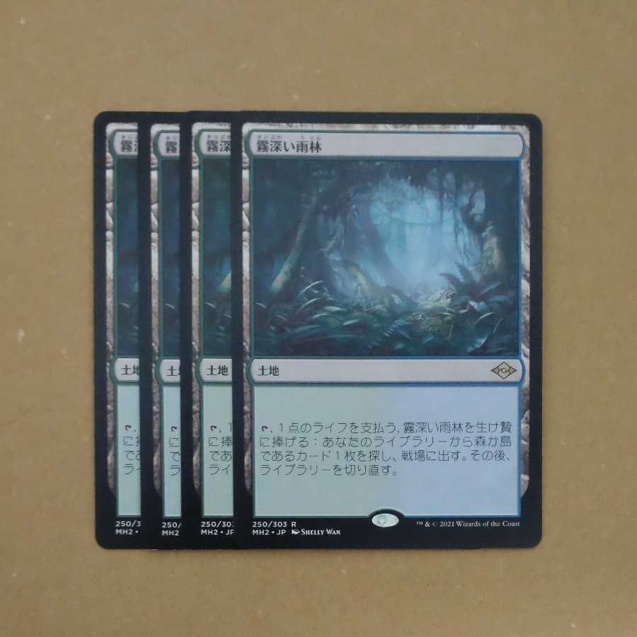 Misty Rainforest Summary