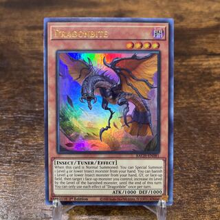 Yu-Gi-Oh [English version] Dragonbite Ur