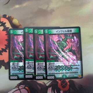 Infelix star tree (species of sedge, Infelix infertilis)