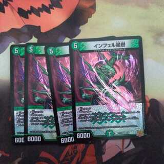 Infelix star tree (species of sedge, Infelix infertilis)