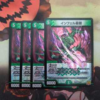 Infelix star tree (species of sedge, Infelix infertilis)