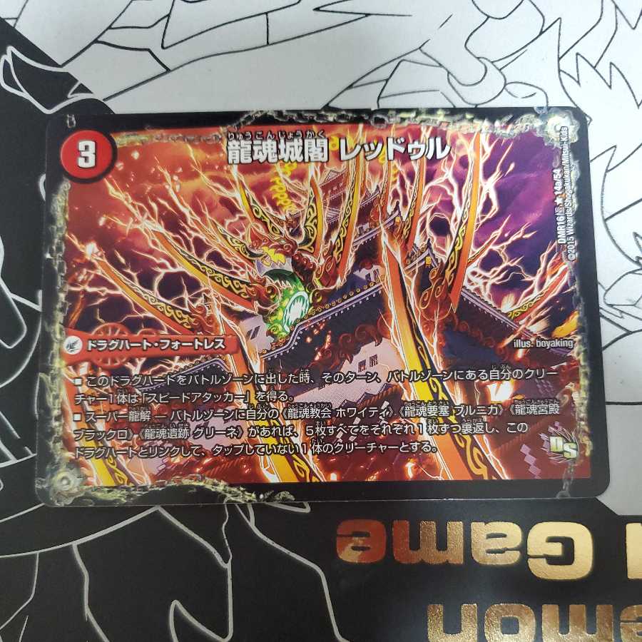 Ryukonjokaku Reduru|Kyokushin Ryukon All Over the World (bottom) ①.