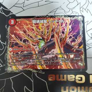 Ryukonjokaku Reduru｜Kyokushin Ryukon All Over the World (bottom) ①.