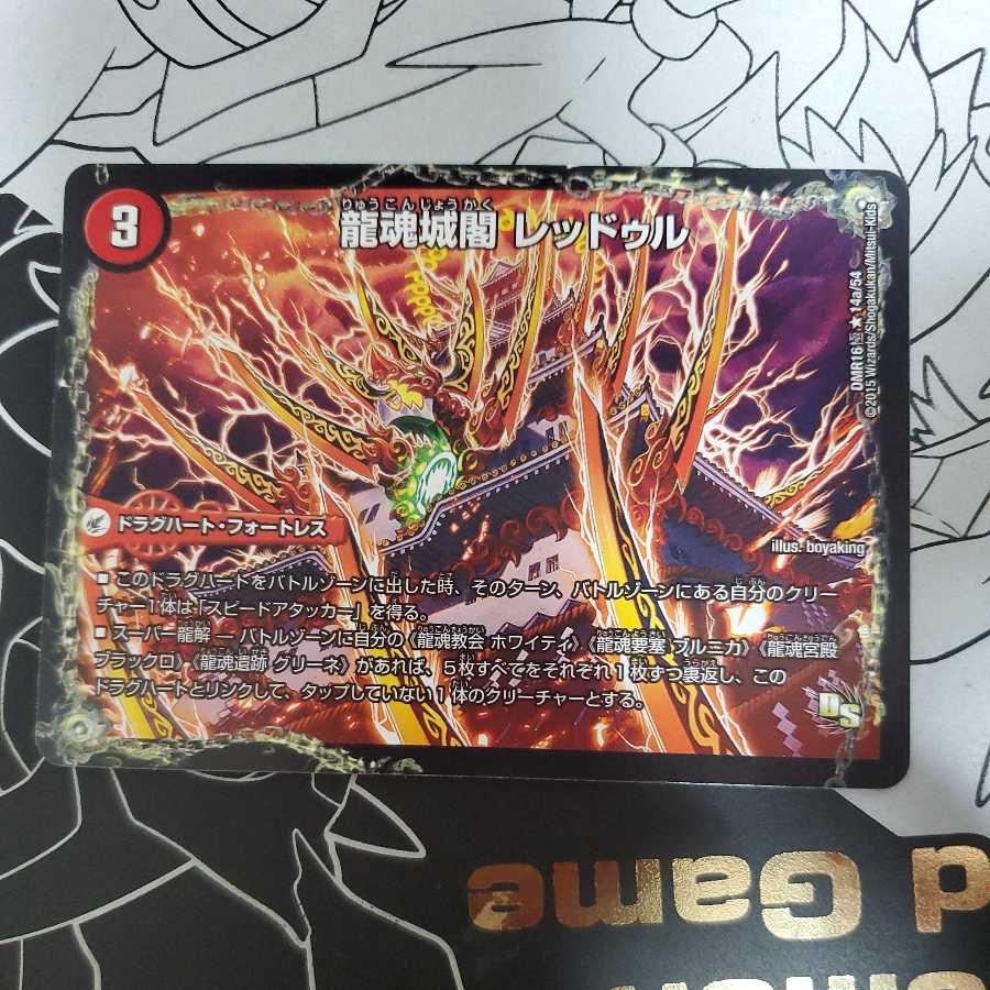 Ryukonjokaku Reduru|Kyokushin Ryukon All Over the World (bottom) (3)