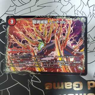 Ryukonjokaku Reduru｜Kyokushin Ryukon All Over the World (bottom) (3)