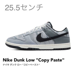 NIKE Nike Dunk Low copy paste 25.5cm never worn new 25.5cm