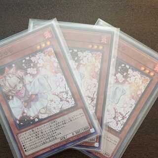 Ash Blossom & Joyous Spring Super 3 sheets