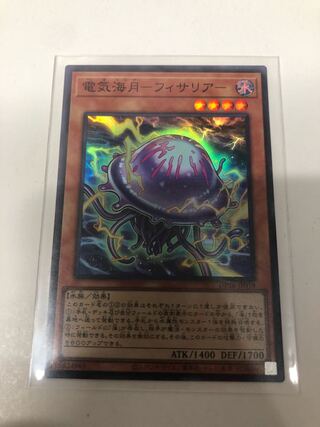 Electric Umi Moon - Fissaria