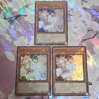 Ash Blossom & Joyous Spring 3-piece set Lowest price