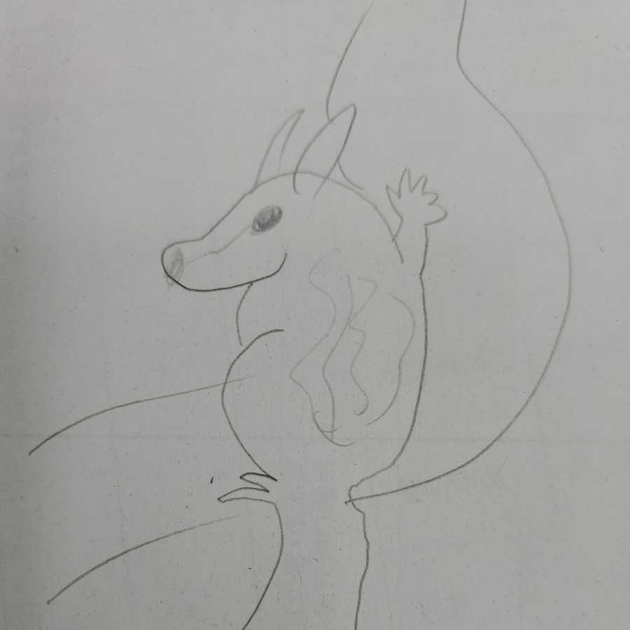 団長専用【シマリスク×2】